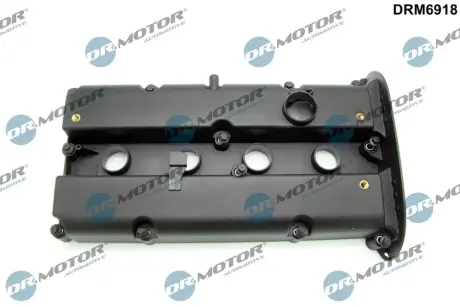 Кришка головки блоку циліндрів ДВЗ DR MOTOR AUTOMOTIVE DRM6918