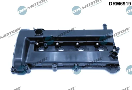 Кришка голівки циліндра DR MOTOR AUTOMOTIVE DRM6919