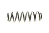 Coil Spring. Пружина спіральна EIBACH R10148 (фото 3)