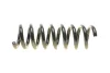 Coil Spring. Пружина спіральна EIBACH R10325 (фото 3)