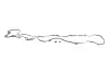 Прокладка кришки клапанів BMW 3 (G20/G80/G28)/5 (G30/F90)/7 (G11/G12) 15- (к-кт) B58 B30 ELRING 091.010 (фото 1)