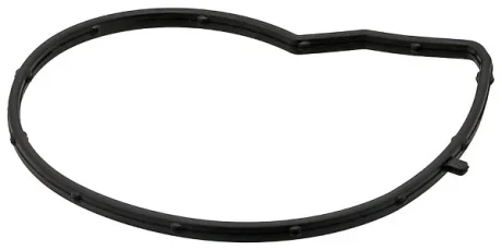 BMW Прокладка водяного насоса 1 (F20) 114 i 12-15 ELRING 387590