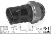 Radiator fan temperature switch. Датчик температуры вентилятора охлаждающей жидкости ERA 330197 (фото 1)