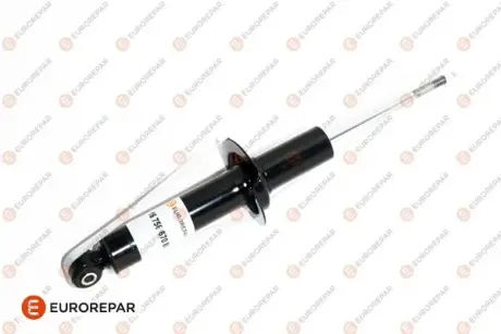АМОРТИЗАТОР ЗАДНІЙ EUROREPAR 1675667080
