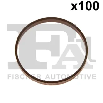 Ущільнювальне кільце FPM 48,40 x 51,80 x 5,20 FA1 076504100