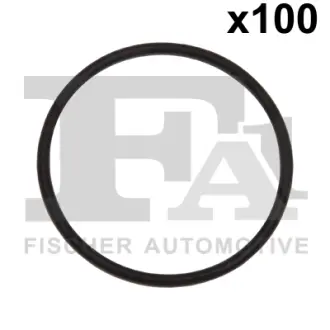 Ущільнювальне кільце FPM 49,00 x 3,00 FA1 076529100