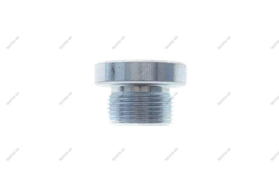 Болт зливу оливи АКПП VW Touareg 02-10 (M24x1,5x14) FA1 257871001 (фото 1)