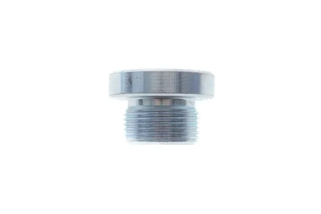 Болт зливу оливи АКПП VW Touareg 02-10 (M24x1,5x14) FA1 257871001
