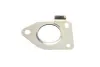 Комплект прокладок турбіни NISSAN PRIMASTAR (X83) 06-. RENAULT TRAFIC II (FL) 06-. OPEL VIVARO A Combi (J7) 06-14 FA1 KT220260 (фото 4)