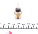 Coolant temperature sensor. Датчик температуры охлаждающей жидкости FAE 31610 (фото 4)