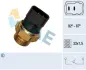 Radiator fan temperature switch. Датчик температуры вентилятора охлаждающей жидкости FAE 37260 (фото 1)