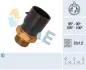 Temperature Switch, radiator fan. Перемикач температурний, вентилятор радіатора FAE 38020 (фото 1)