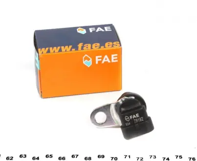 Sensor, camshaft position. Датчик положення розподільного валу FAE 79192