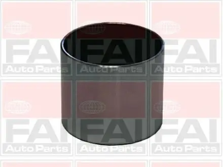FORD гідрокомпенсатор FIESTA V 1.6 16V 01-08, FOCUS I 1.6 16V 99-04, FUSION 1.6 02-09, MAZDA 2 1.6 03-07, VOLVO S40 II 1.6 05-12 FAI BFS219S