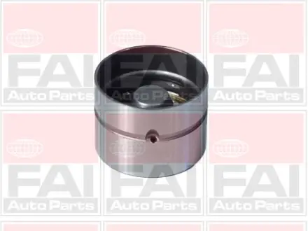 VW гідрокомпенсатор (к-кт 8шт.) 1.6D/2.4D FAI BFS66