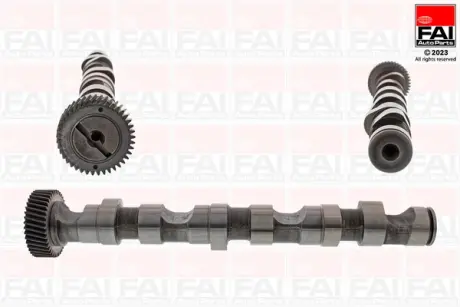 VW вал розподільчий Audi A4/6/8,Passat,Skoda SuperB I 2.5TDI. FAI C246