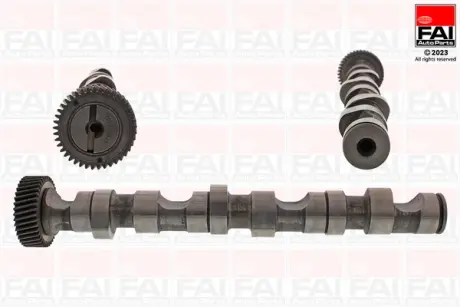 VW вал розподільчий Audi A4/6/8.Passat,Skoda SuperB I 2.5TDI. FAI C247