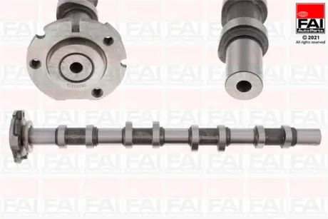 FORD вал розподільчий TRANSIT 2.4 DI 00-06, TRANSIT 2.4 TDE 01-06 FAI C251