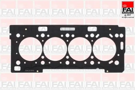 CITROEN прокладка головки блоку C2/C3/C4/Xara/Berlingo 1.6 Peugeot 206/207/307 1.6 00- FAI HG1187