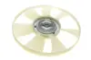 Clutch, radiator fan. Муфта вентилятора радіатора FANEX 1317893 (фото 1)