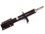 Амортизатор газ-масло FIAT Ducato 02-06. Ducato 94-02. PEUGEOT Boxer 02-06. Boxer 94-02. CITROEN Jumper 02-06. Jumper 94-02 FAST FT11305 (фото 1)