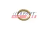 Шайба амортизатора переднього Citroen Jumper/Fiat Ducato/Peugeot Boxer (06-) Fast FAST FT14401 (фото 2)