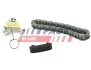 К-кт ланцюг ГРМ (ланцюг+натяжник+заспокоювач) Fiat/Ford/PSA 2.0Jtd/2.0Tdci/2.0Hdi FAST FT41914 (фото 1)