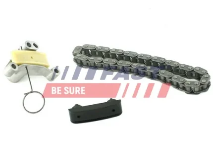 К-кт ланцюг ГРМ (ланцюг+натяжник+заспокоювач) Fiat/Ford/PSA 2.0Jtd/2.0Tdci/2.0Hdi FAST FT41914
