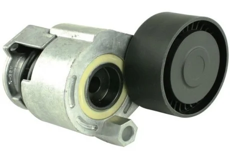 Натяжник паска Renault Clio III 1,4 16V 05- 1,5dCI 05- Dacia Logan 1,5dCI 07- FAST FT44629