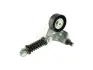 Натяжник паска приводного Ford Transit/Mondeo 2.0Di 00- FAST FT44631 (фото 1)