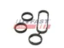 К-т прокладок корпуса масляного фільтра AUDI A1, A3, A4 B8, A5, A6 C7, Q3, Q5, TT SEAT ALHAMBRA, ALTEA, ALTEA XL, EXEO, EXEO ST, IBIZA IV SC, IBIZA IV ST, LEON, TOLEDO IV SKODA FABIA II 1.2D/1.6D/2.0D 05.03- FAST FT48946 (фото 1)
