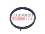 Прокладка IN колектора FORD TRANSIT 2.2D 06-14 FAST FT49467 (фото 2)