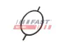 Ущільнююче кільце FORD TRANSIT CONNECT 02> 1.8 TDCI 06> SERWO HAMULCOWE FAST FT49923 (фото 1)