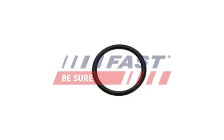 Прокладка теплообмінника Fiat Ducato (06-) Fast FAST FT49926
