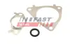 Прокладка клапана к-кт EGR CITROËN JUMPER 3.0HDi 06- FIAT DUCATO 3,0D 06- IVECO DAILY 3.0D 99-14 FAST FT50617 (фото 1)