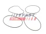 Прокладка гільзи циліндра к-кт PEUGEOT PARTNER 1.4 02-06, 206 1.4 02-13 CITROËN C3 1.4 02-16 FAST FT50751 (фото 1)