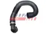 Патрубок радіатора охолодження верхній Fiat Ducato (06-) 3.0JTD Fast FAST FT61440 (фото 1)