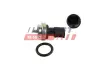 Датчик температуры воды Renault Master III, Kangoo (08-), Megane (II,III,IV) FAST FT80129 (фото 1)