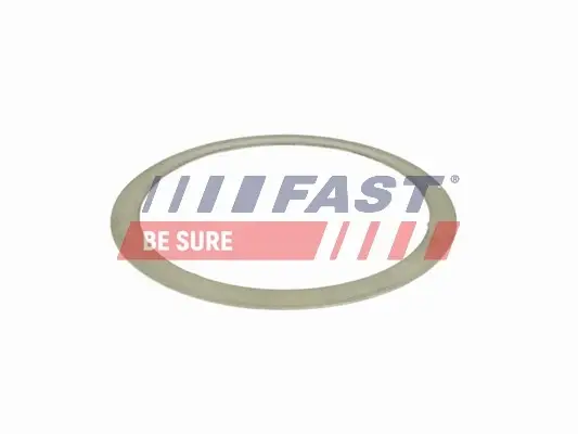 Прокладка глушника Fiat Doblo 1.6/2.0D 10- FAST FT84501 (фото 1)