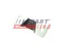 Штифт замка бічний перед. ниж. Fiat Ducato (94-,06-) метал Fast FAST FT95209 (фото 2)