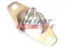 Скоба замка задніх дверей нижня Citroen Nemo/Fiat Fiorino/Peugeot Bipper (07-) (ляда) Fast FAST FT95462 (фото 1)