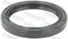 САЛЬНИК ПРИВОДУ 61.3X82.3X10X10. KIA. HYUNDAI (Вир-во) FEBEST 95IAS-63821010R (фото 1)