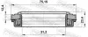 САЛЬНИК ПРИВОДУ 31.2X75.2X12.4X23.4. SSANG YONG(вир-во) FEBEST 95RFW32751223X (фото 2)