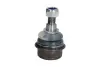 Опора кульова MERCEDES 72-91 перед. міст (Вир-во FEBI) FEBI BILSTEIN 03668 (фото 1)