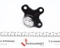 Опора кульова (передня/R) VW Polo/Lupo 94-05 FEBI BILSTEIN 04944 (фото 1)