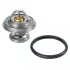 Термостат Mercedes-Benz (пр-во FEBI) FEBI BILSTEIN 09672 (фото 1)