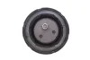 Подушка двигуна BMW 5 (E39) 1995 - 2003 (вир-во FEBI) FEBI BILSTEIN 14179 (фото 4)