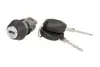 Серцевина замку запалювання VW (вир-во Febi) FEBI BILSTEIN 17000 (фото 1)