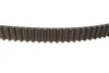 Комплект ГРМ + помпа Nissan Primera 1.9dCi 02-/Renault Scenic/Megane 1.9dCi 03-(133x26) FEBI BILSTEIN 173157 (фото 3)