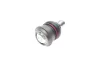 Опора кульова (передня/знизу) Nissan Micra/Sunny 10- FEBI BILSTEIN 174293 (фото 2)